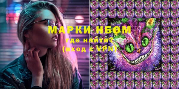 твердый Сатка